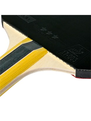 Lopar za namizni tenis Cornilleau Sport 400